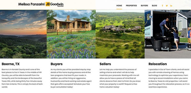 Website Preview