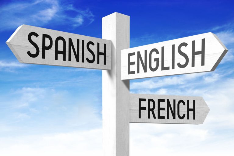 Unlocking Global Opportunities: The Power of a Bilingual Website
